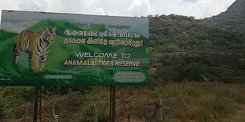 ஆனைமலை புலிகள் காப்பகத்தில் வனவிலங்குகளை கணக்கெடுக்கும் பணி தொடக்கம்