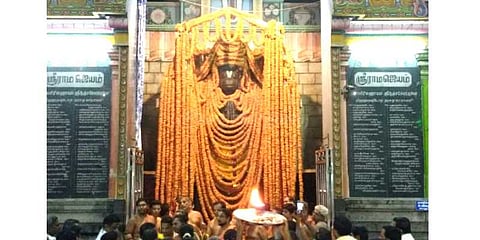 அனுமன் ஜெயந்தி: பிரமாண்ட வடை மாலை அணிவிப்பு