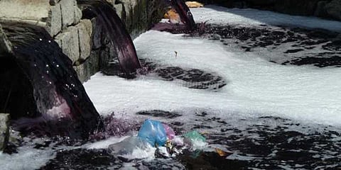 தமிழகத்தில் 7 நதிகள் மாசடைந்துள்ளதாக அதிர்ச்சித் தகவல்!