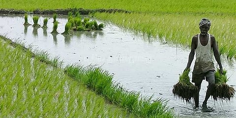 பிரதமரின் திட்டத்தில் தமிழக விவசாயிகளுக்கு இழப்பீடு