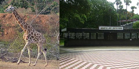 வண்டலூர் பூங்காவில் ஆன்லைன் டிக்கெட் விற்பனை அறிமுகம்