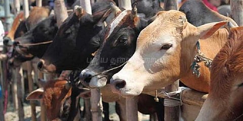 உபியில் மாட்டிறைச்சி வைத்திருந்ததாக சிறுமிகள் உட்பட 10 பேர் கைது