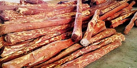 திருப்பதியில் ரூ.70 லட்சம் மதிப்பிலான செம்மரக்கட்டைகள் பறிமுதல்