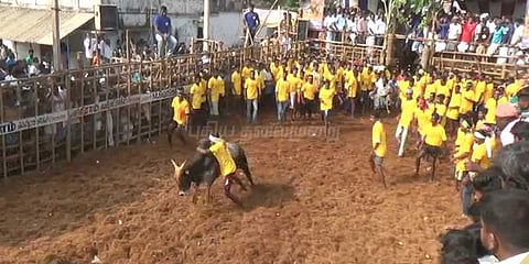 புத்தாண்டின் முதல் ஜல்லிக்கட்டு போட்டி: சீறிபாய்ந்த காளைகள் - அடக்கிய காளையர்கள்!