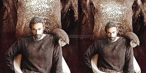 பிரபுசாலமனின் இந்தி படத்துக்காக 15 கிலோ குறைந்த ராணா!