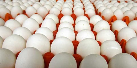 முட்டை விலை உயர்வு!