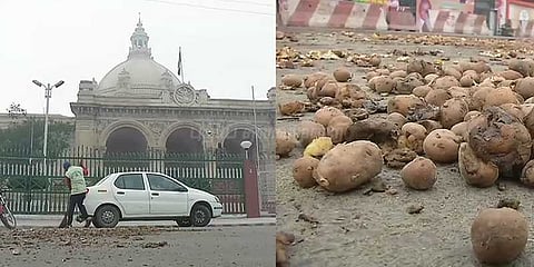 விலை வீழ்ச்சி: சட்டசபை முன் உருளைக் கிழங்கைக் கொட்டி போராட்டம்!