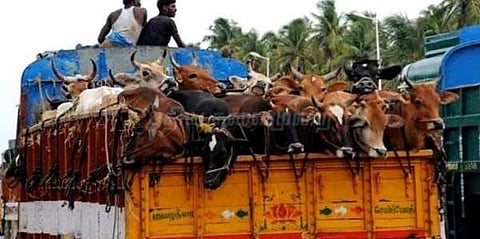 மாட்டிறைச்சியை இறக்குமதி செய்யமாட்டோம்: விற்பனையாளர் போராட்டம் அறிவிப்பு