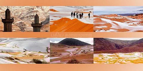 இணையத்தைக் கலக்கும் சஹாரா பாலைவன புகைப்படங்கள்