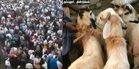 பொங்கலையொட்டி ரூ.1 கோடி அளவில் சந்தையில் ஆடு விற்பனை