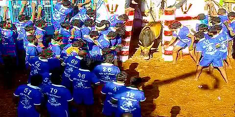 அவனியாபுரத்தில் தொடங்கியது ஜல்லிக்கட்டு