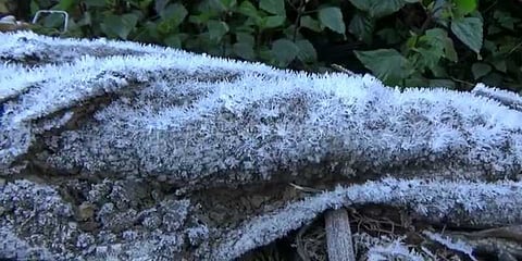 உதகையில் புல்வெளியை போர்வையாக மூடிய பனி: புகைப்பட கேலரி