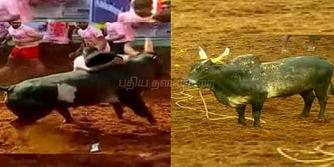 அலங்காநல்லூரில் சிறந்த காளை, காளையருக்கு கார் பரிசு!