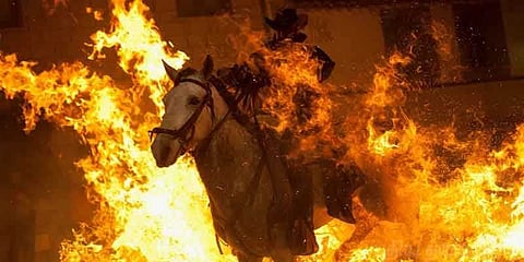 குதிரைகள் தீ மிதிக்கும் திருவிழா