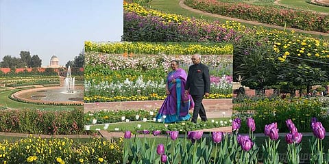 ஜனாதிபதி மாளிகையில் பார்க்கவேண்டிய வசந்தம்: போட்டோ கேலரி!