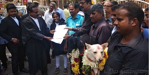 ஆடு, நாய்க்கு விவாகரத்து வேண்டும்: நூதன கோரிக்கை