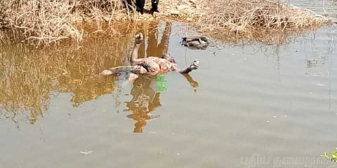 ஆந்திரா ஏரியில் 7 தமிழர்களின் உடல்கள் மீட்பு ?