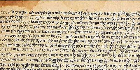 அழிவின் விளிம்பில் தோடர், கோடா மொழிகள்