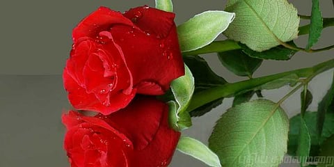 மாணவிக்கு ரோஜா கொடுத்து காதலிக்க வற்புறுத்திய ஆசிரியர் கைது