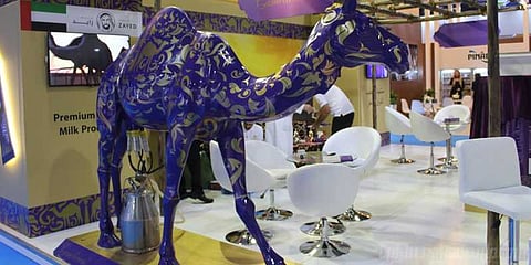 வடிவேல் ரசிகரா நீங்க? ஒட்டகப் பால் சாப்பிட வாங்க!