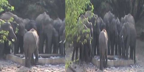 யானைகளுக்கு தனித் தண்ணீர் தொட்டி அமைத்த வனத்துறை!