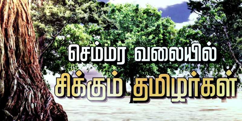 திருப்பதி அருகே நள்ளிரவில் 80 தமிழர்கள் கைது