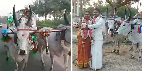 பாரம்பரிய திருமணம்...மாட்டு வண்டியில் மணமக்கள் பயணம்