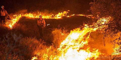 குரங்கணி தீ விபத்து குறித்து விசாரணை நடத்தி உரிய நடவடிக்கை: முதல்வர் உறுதி