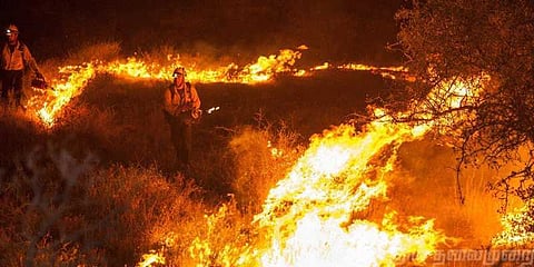 காட்டுத் தீயில் சிக்கியவர்களில் இதுவரை 15பேர் மீட்பு