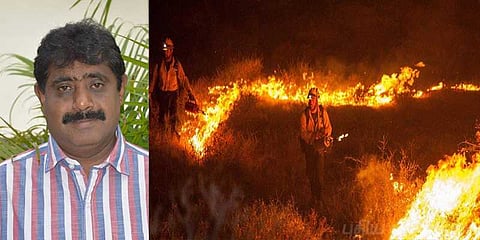 மேற்குத் தொடர்ச்சி காடுகளில் மலை ஏற்றம் சாகசமல்ல ! - "ஓசை" காளிதாசன்