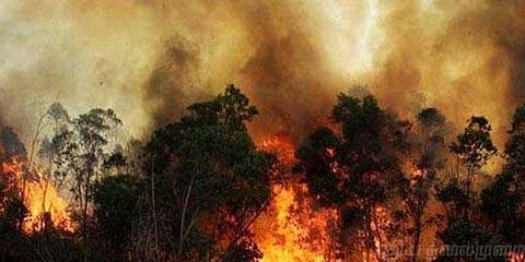 நொடிப் பொழுதில் சுதாரித்த மாணவி.. தீயிலிருந்து தப்பித்தது எப்படி..?