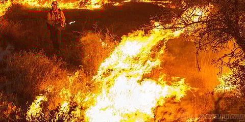 குரங்கணியில் தீ பற்றியது ஏன்?: சென்னை ட்ரெக்கிங் கிளப் விளக்கம்