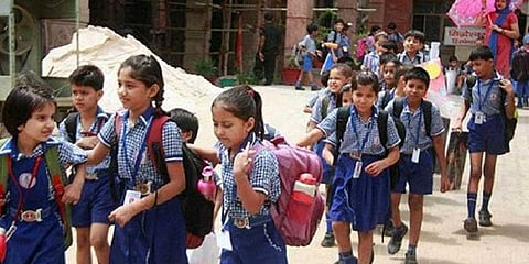 நெல்லையிலும் பள்ளி, கல்லூரிக்கு விடுமுறை