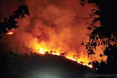 குரங்கணி காட்டுத்தீ : விசாரணை அதிகாரி நியமனம்