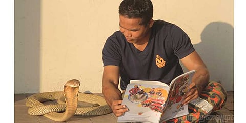 பாம்பு கடித்து பலியானார், ’பாம்பு காதலர்’!