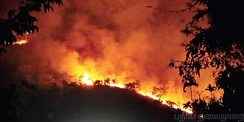 குரங்கணி காட்டுத்தீ: விசாரணை அதிகாரி ஆய்வு