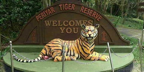 தேக்கடியில் புலிகள் அருங்காட்சியகம்