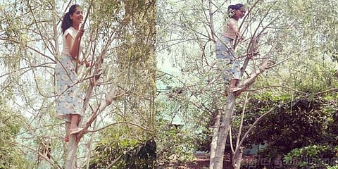 முருங்கை மரத்தில் பிந்துமாதவி