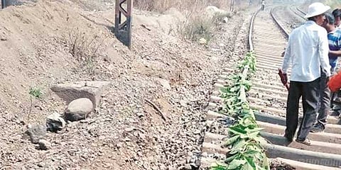 ‘தண்டவாளம் சூடா! இலையை வாரி போடுங்க’ மும்பையிலும் ஒரு விஞ்ஞானி..