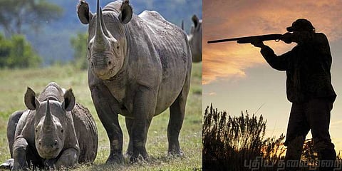 வனவிலங்குகளை வேட்டையாடினால் ஆயுள் தண்டனை!