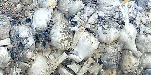 பூண்டு விலை சரிவால் விவசாயிகள் கவலை!