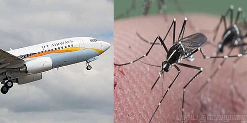 விமானத்திலும் விடாத கொசுத்தொல்லை: பயணி வெளியிட்ட வீடியோ