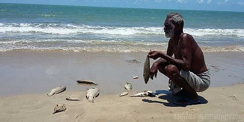 ரசாயன ஆலையால் செத்து கரை ஒதுங்கும் மீன்கள்