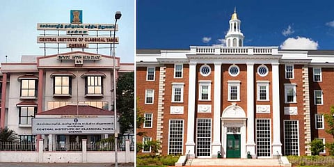 ஹார்வர்ட் தமிழ் இருக்கைக்கு 10 கோடி? ஆனால் செம்மொழி நிறுவனத்திற்கு இயக்குநரே இல்லை?