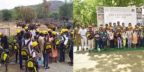 கோடை விடுமுறை கொண்டாட்டம்: வண்டலூரில் தொடங்கியது சிறப்பு முகாம்!