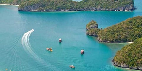 மன்னார் வளைகுடாவில் மாஃபியாக்கள் அட்டுழியம்!