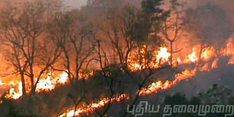 சென்னை டிரெக்கிங் கிளப் பீட்டருக்கு முன்ஜாமின்