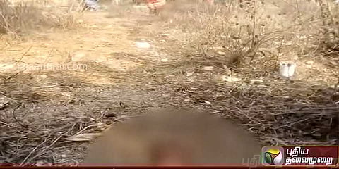 முள்காட்டில் வீசப்பட்ட குழந்தையை நாய்கள் தின்ற அவலம்