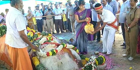 கருணைக் கொலைக்கு முன் உயிரிழந்த யானை: கண்ணீர் விட்ட ஐஏஎஸ் அதிகாரி