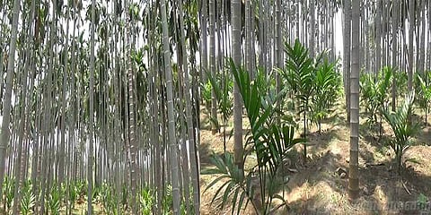 விமானநிலைய விரிவாக்கத்தால் பாதிக்கப்படும் விளைநிலங்கள்: மக்கள் அதிருப்தி